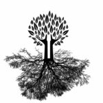 L&rsquo;Ancrage (énergétique)